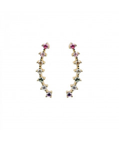 Pendientes Trepadores Creativos