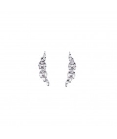 Pendientes Trepadores Genuinos Plata