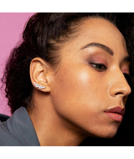 Pendientes Trepadores Genuinos Plata