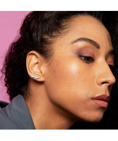 Pendientes Trepadores Genuinos Plata