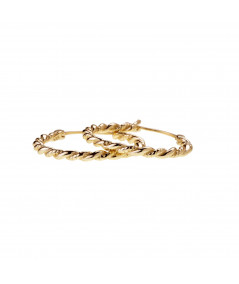 Pendientes Aro Hiedra